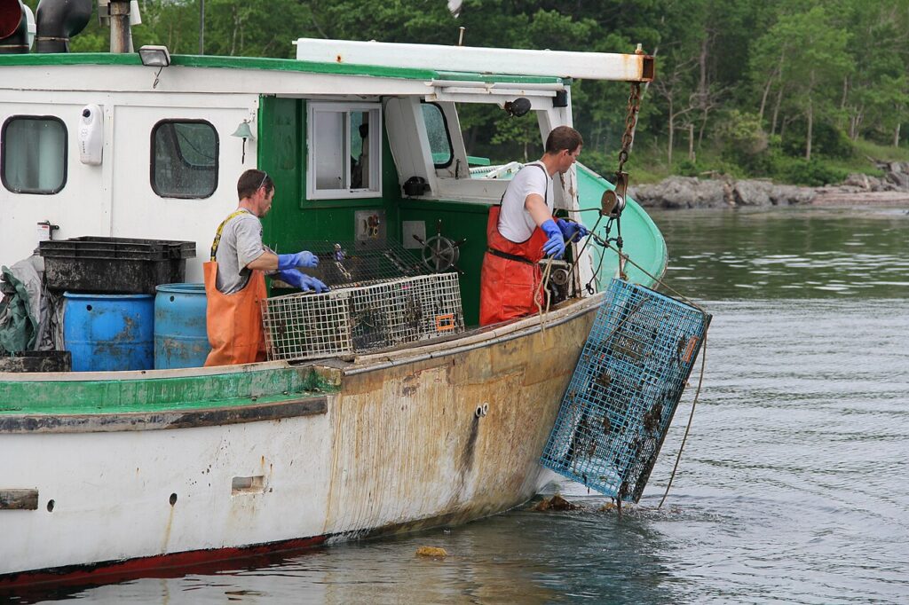 Two fishermen in orange gear pulling up a metal lobster trap over the side of a working lobster boat. 