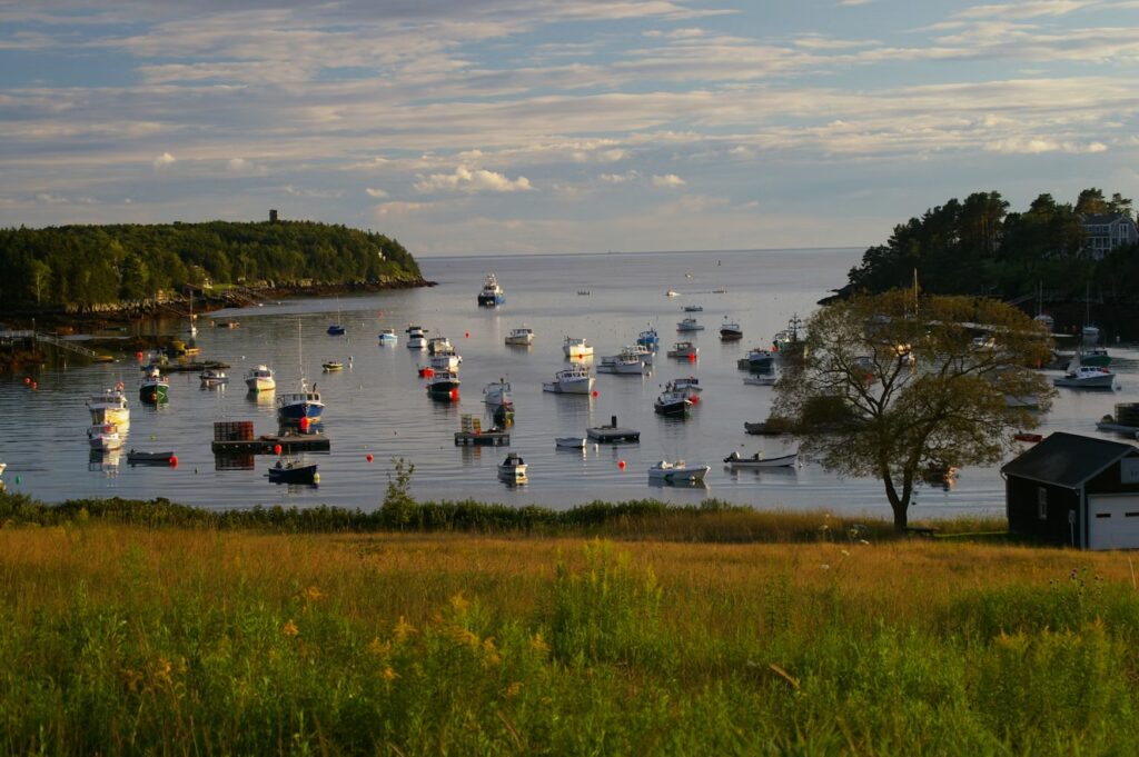 A tranquil harbor filled with numerous moored small boats and sailboats.