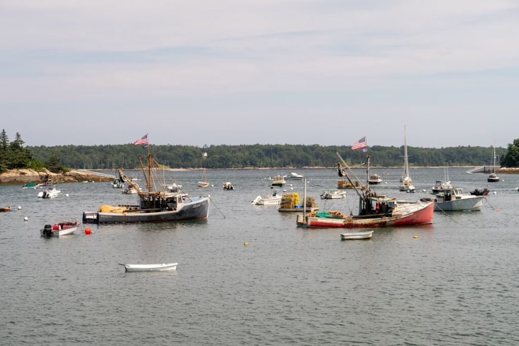 Several working lobster boats anchored in the calm waters of a coastal bay.