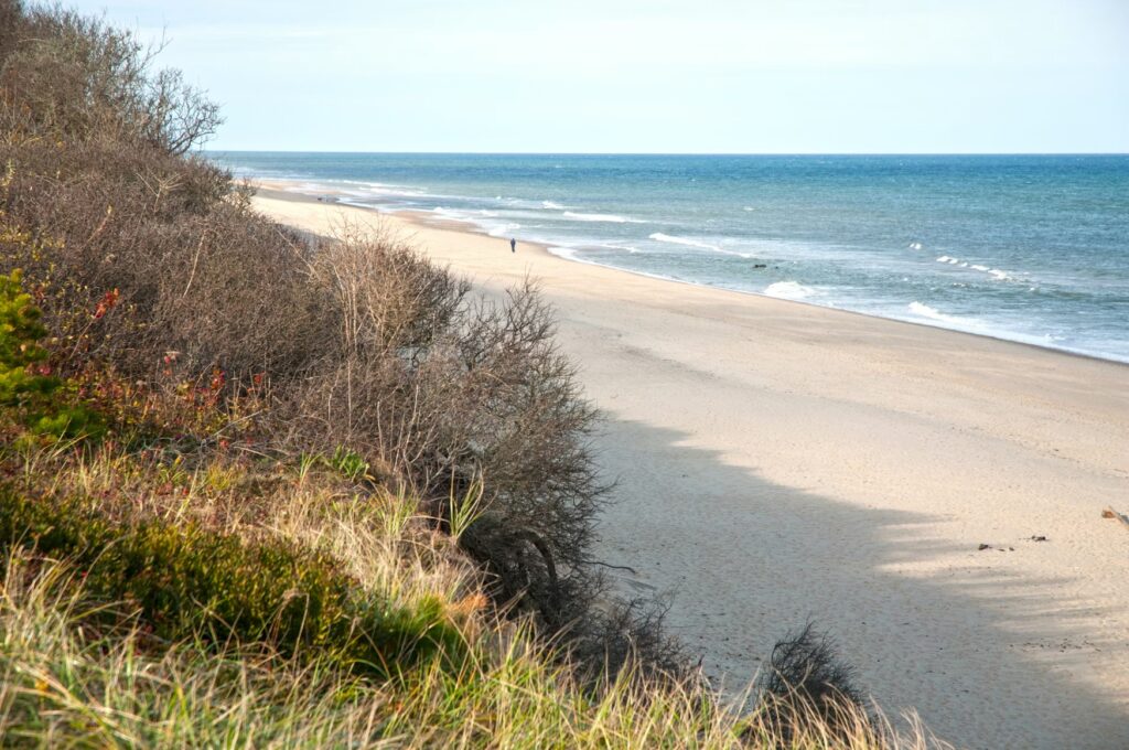 A long stretch of soft white sand bordered by dune grass and the ocean at Ogunquit Beach, Maine.