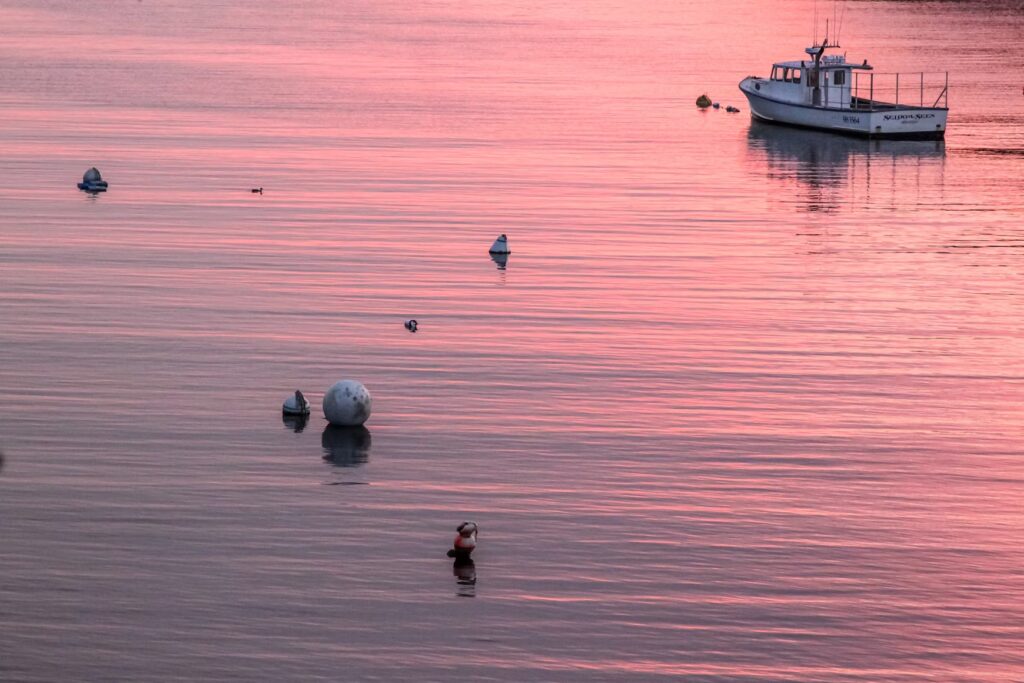 A boat floating in the calm harbor waters during a brilliant pink sunset at Monhegan Island. 