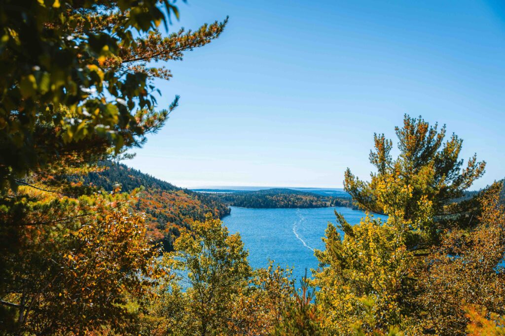 A bright blue lake surrounded by dense evergreen and deciduous forest on a sunny autumn day.