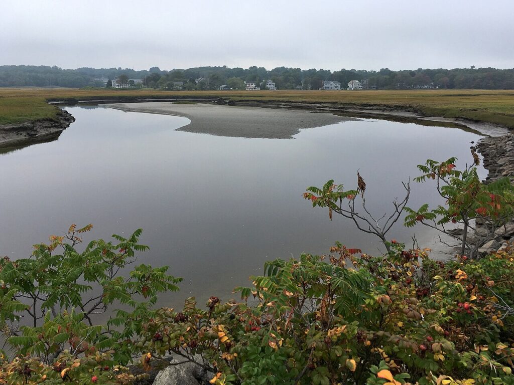The calm waters of the Ogunquit River winding through a lush green salt marsh behind the beach, Maine.