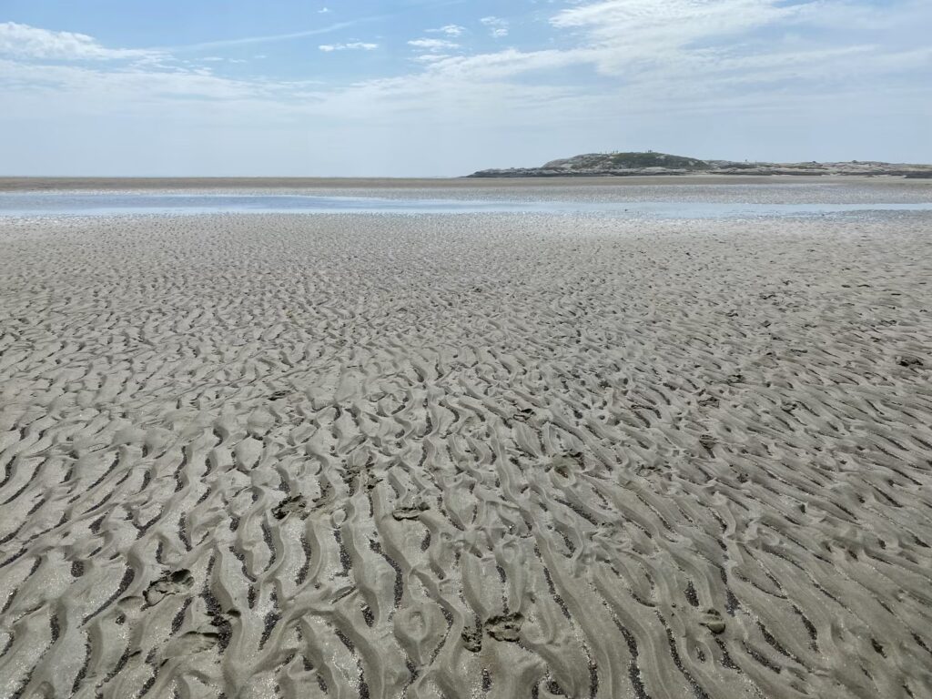 The vast, flat ripples of wet sand stretching across the expansive Popham Beach at low tide.
