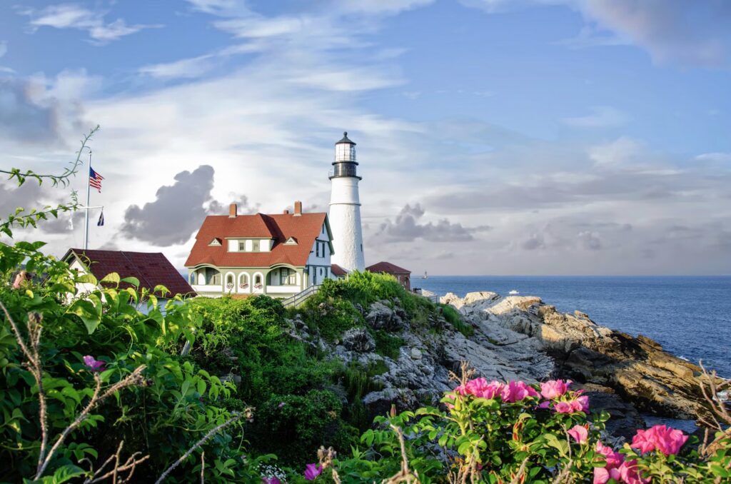 A classic white lighthouse on a rocky coastal cliff with pink flowers in the foreground.