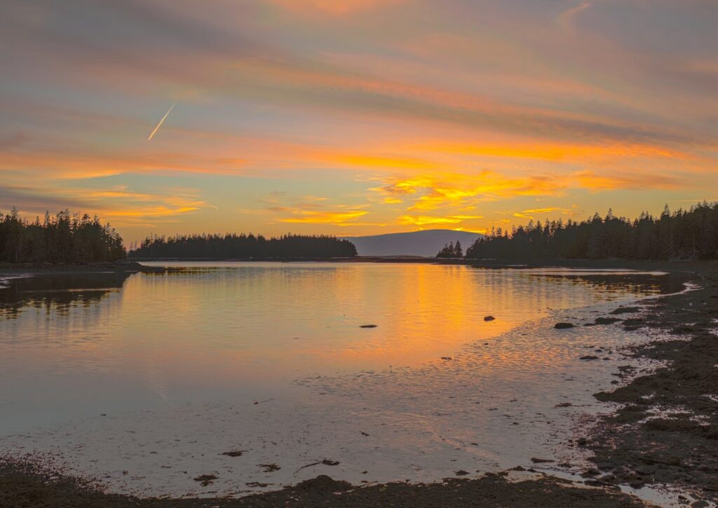 A vibrant orange sunset reflecting on the calm waters of a quiet cove at the Schoodic Peninsula. 