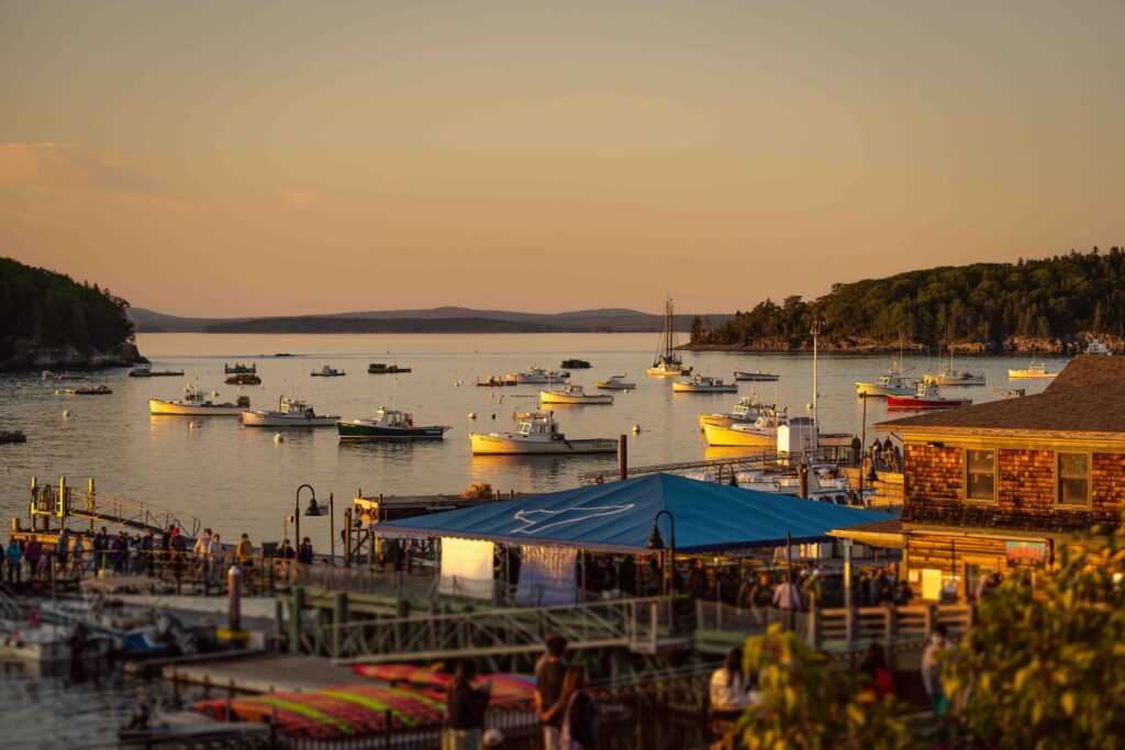 A vibrant golden sunset over a bustling coastal harbor filled with anchored boats and waterfront dining.