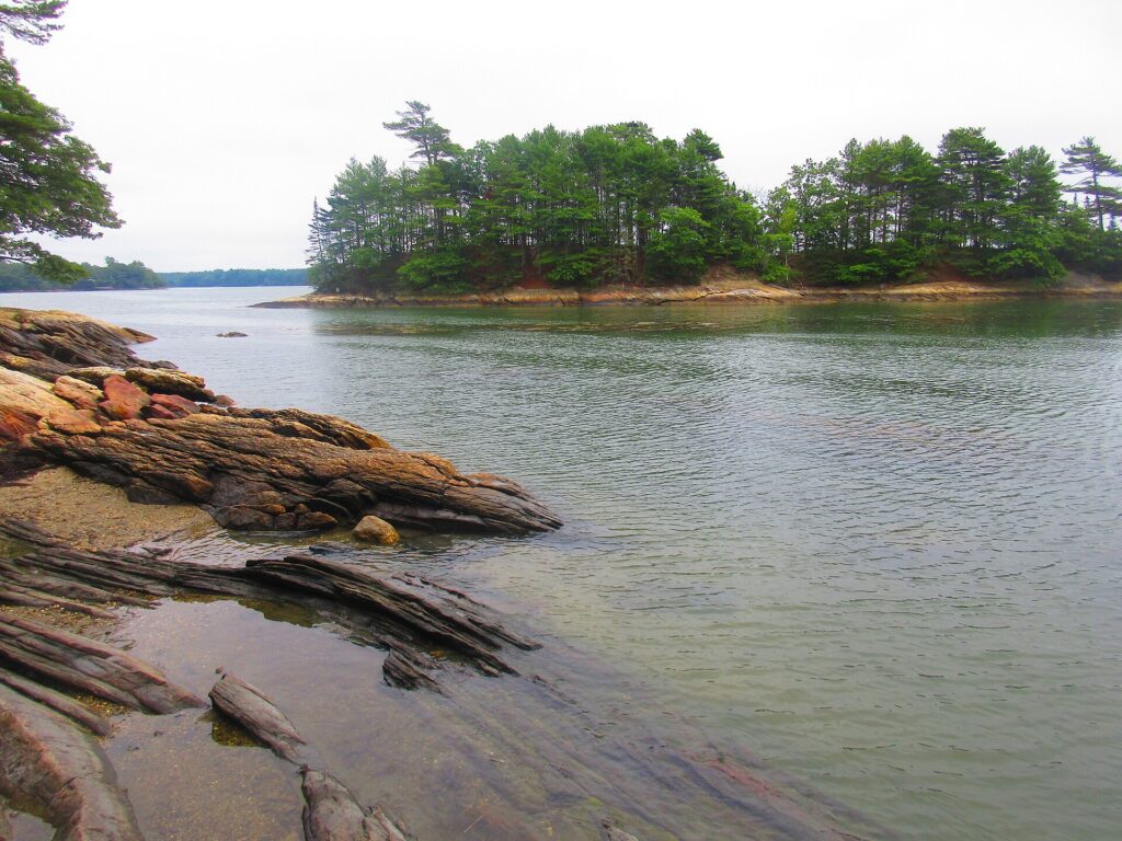 A scenic view of the calm, tree-covered Googins Island across the water from a rocky shoreline.