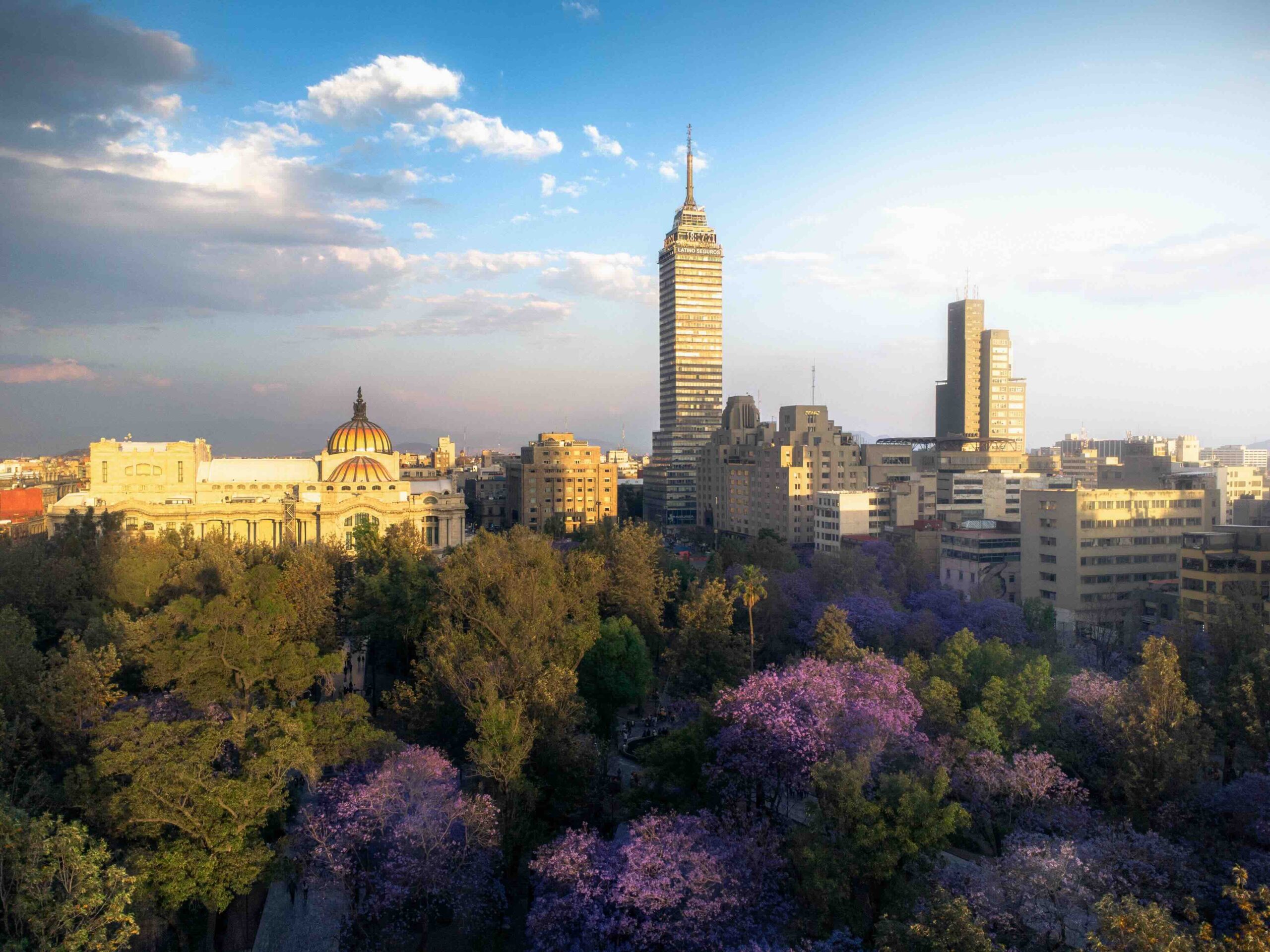 Purple jacarandas blooming across the Mexico City skyline, highlighting spring as the best time to go to Mexico City. 