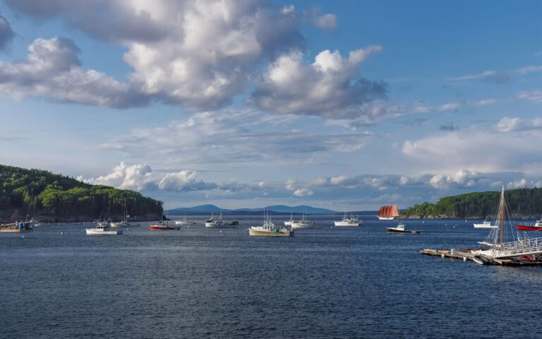 15 Best Things to Do in Bar Harbor, Maine (Acadia & Beyond) A scenic harbor filled with anchored fishing boats and sailboats, showcasing top things to do in Bar Harbor.