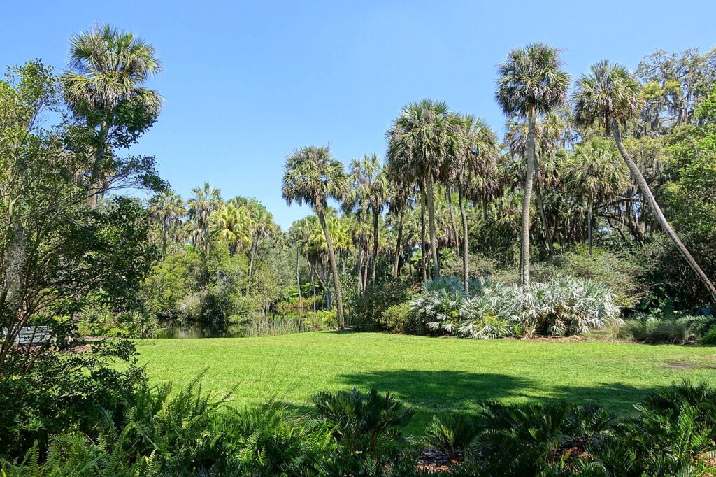 A tranquil, sunny green lawn bordered by tall palm trees at Bok Tower Gardens.