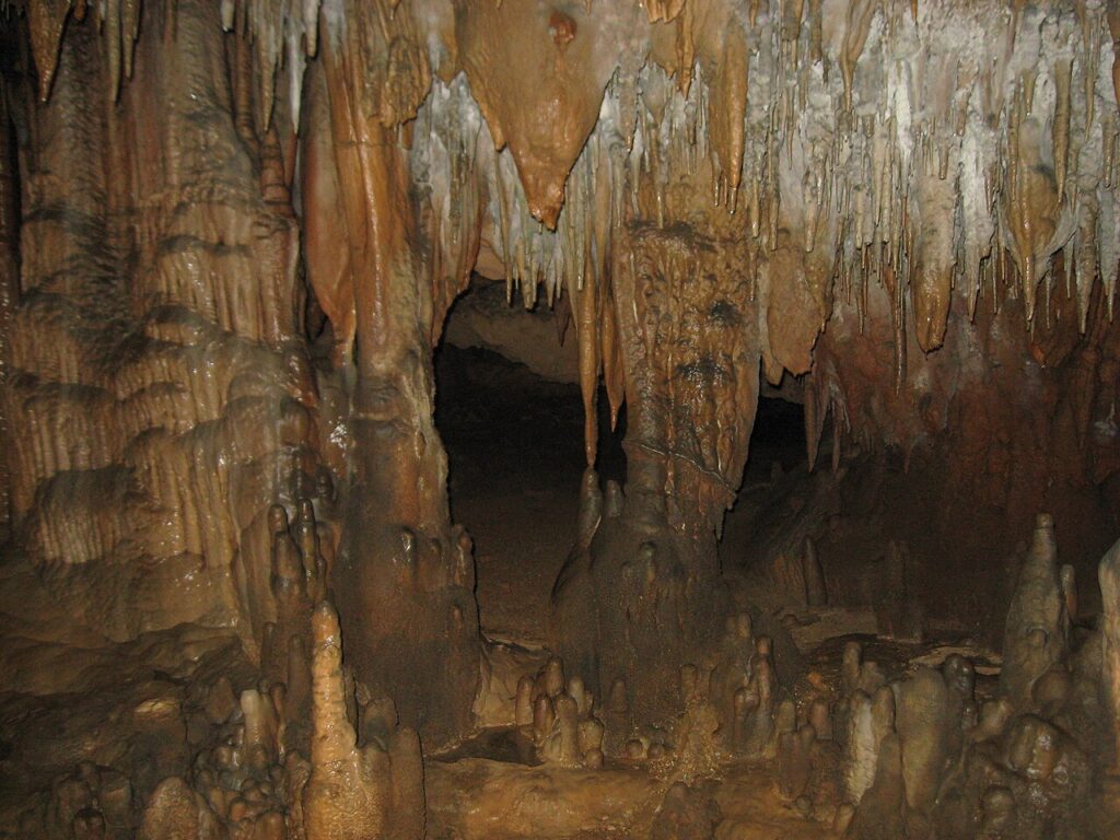 An underground cave chamber filled with hanging stalactites and rising stalagmites in various shades of brown.