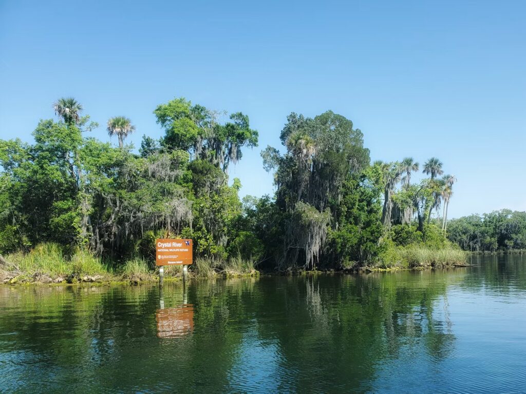 A peaceful view of Crystal River, known for winter manatee sightings.