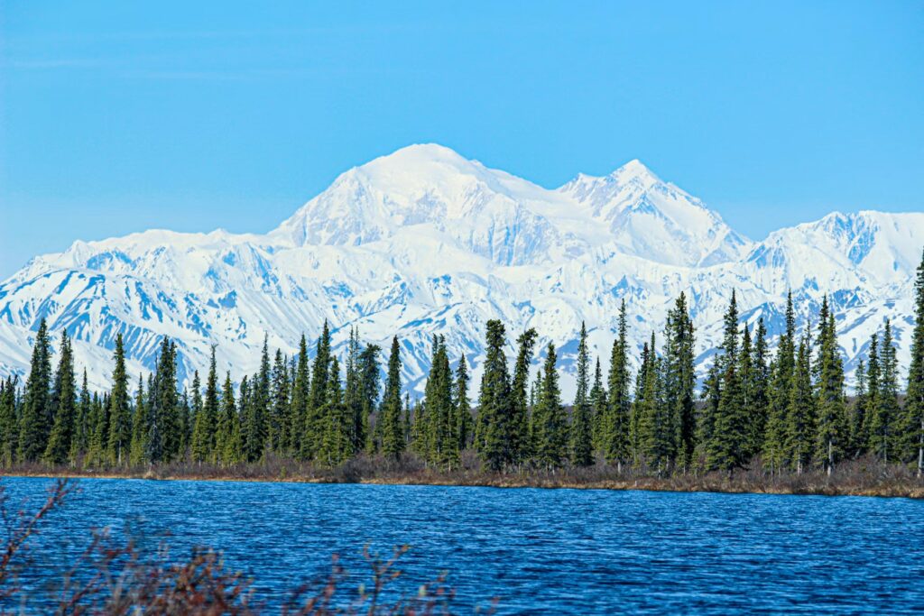 A massive, snow-covered mountain dominates the skyline behind a dense line of evergreen trees and a blue lake.
