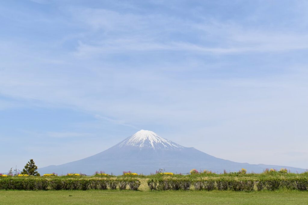A scenic view of the snow-capped Mount Fuji rising behind a green field under a clear blue sky.