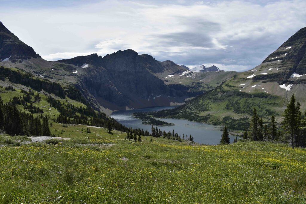 A lush alpine meadow overlooking a pristine mountain lake and rugged peaks, near scenic camping spots in the wild.