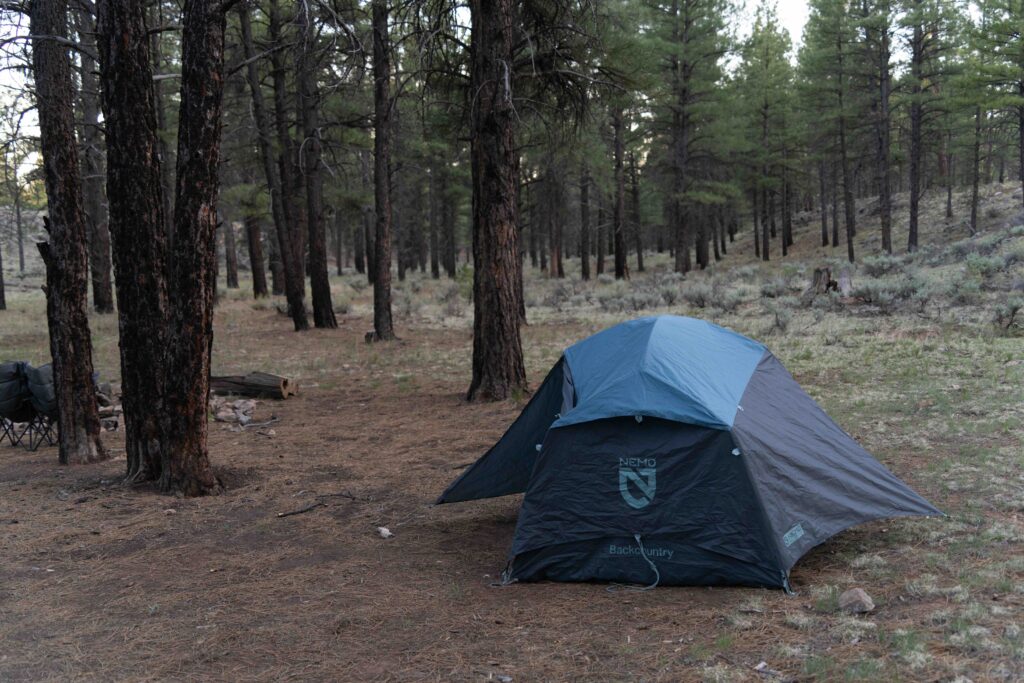 A small blue camping tent is set up in a shaded pine forest clearing with a fire pit ring nearby.