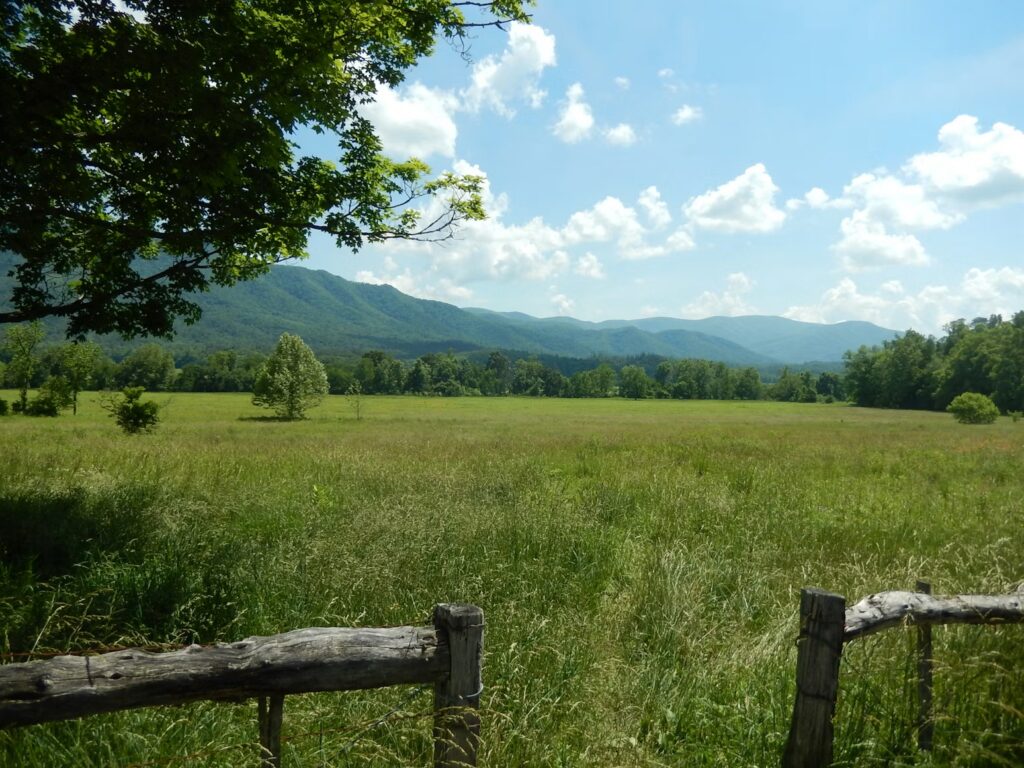 A green grassy field enclosed by a rustic wooden fence with forested mountains visible in the distance.