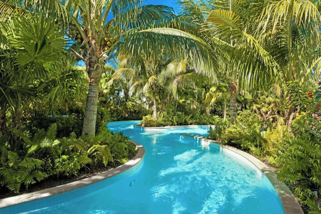 A winding resort lazy river surrounded by dense, tropical palm trees and green foliage.