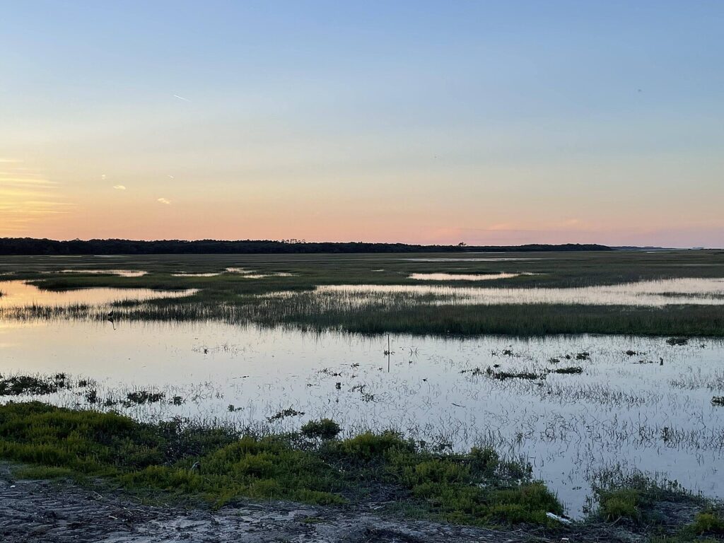 A peaceful salt marsh reflecting the soft colors of a sunset at Timucuan Ecological and Historic Preserve.