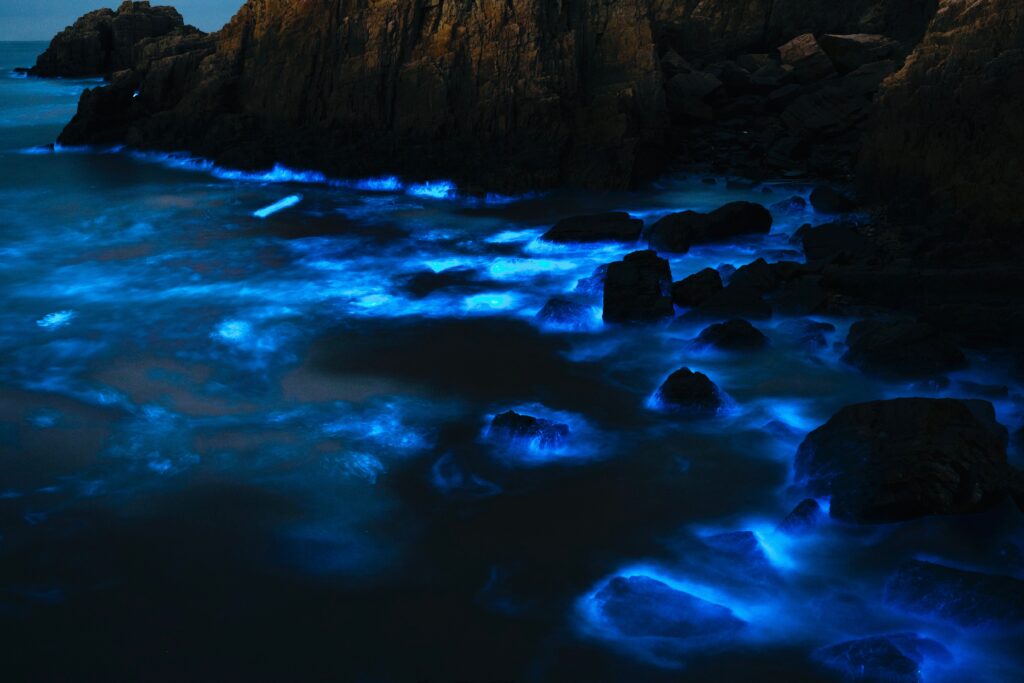 11 Best Places to See Bioluminescence in the US (2026 Realistic Expectations)