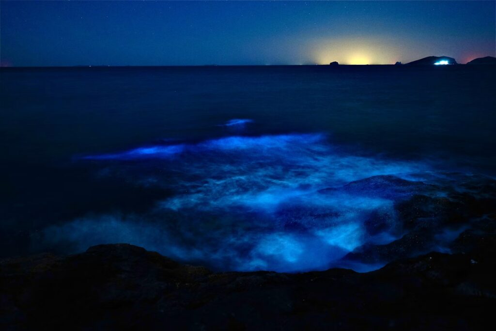A rocky coastline where glowing blue waves crash in the dark, revealing the natural beauty.