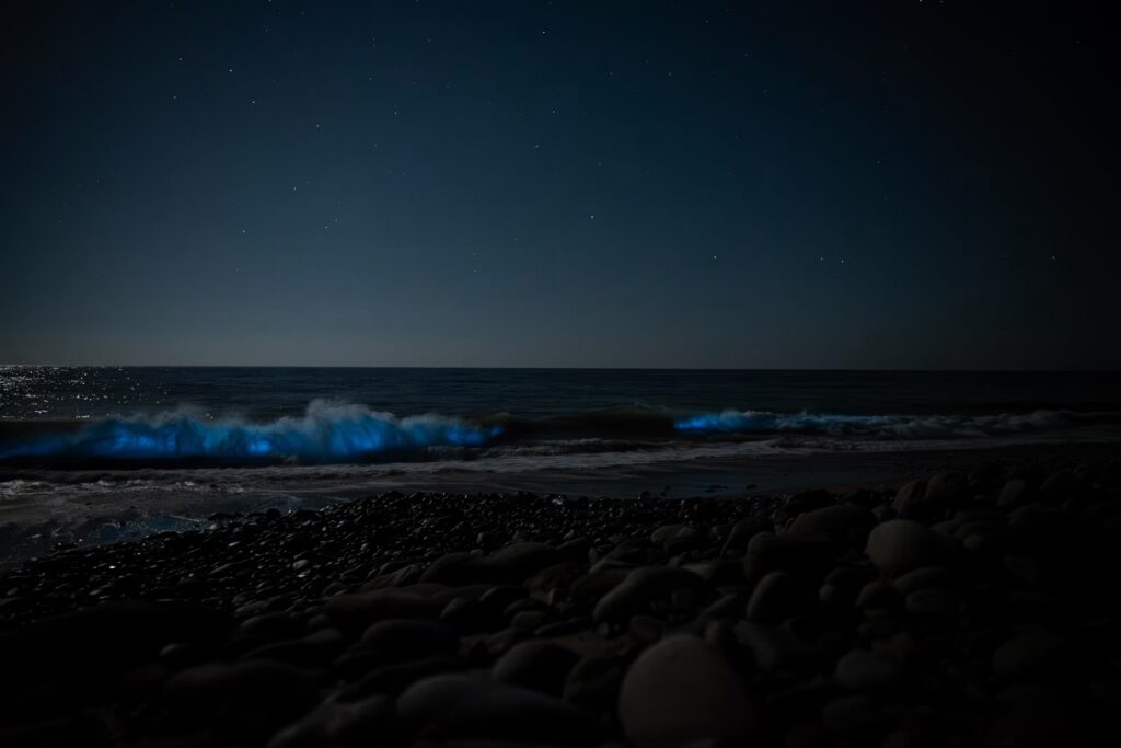 Bioluminescence red tide waves crashing