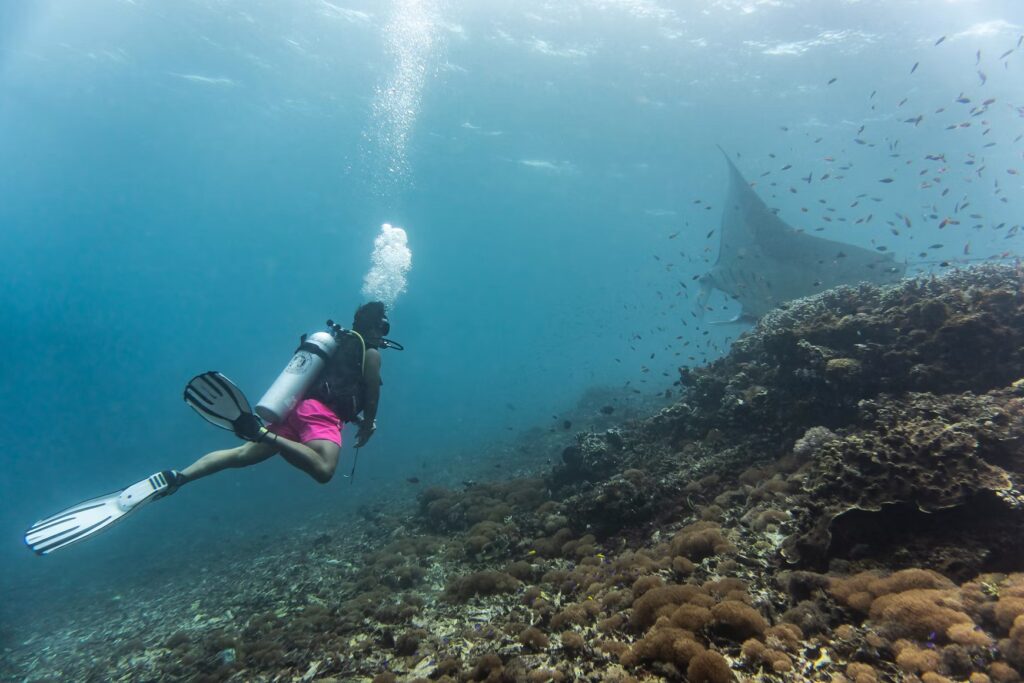 A man is scuba diving with a manta ray at night