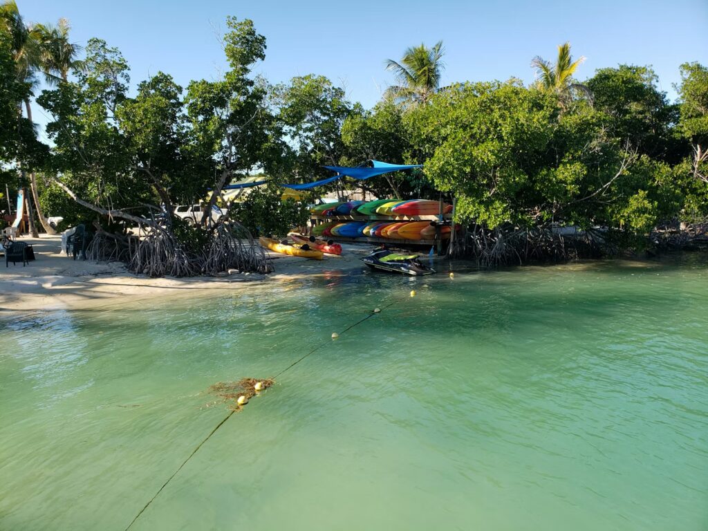 Colorful kayaks and a jet ski parked on a sandy beach near mangrove trees.
