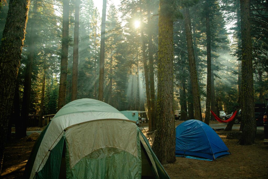 15 Best Places to Camp in California (2026): Redwoods, Deserts & Sierras Tents pitched on a grassy at sunset for the best places to camp in California.