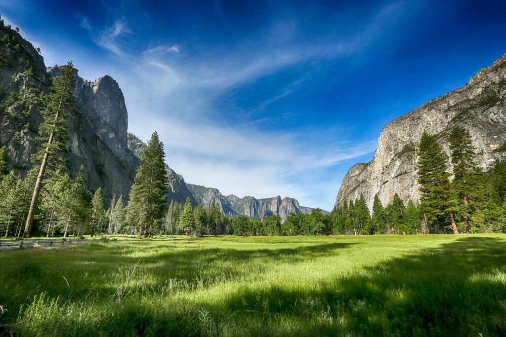 Lush green meadow surrounded by tall pine trees and granite cliffs at top CA campgrounds.
