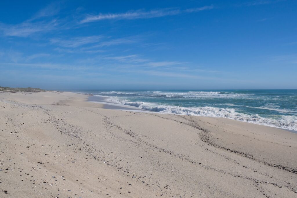 Sandy coastal at wildlife coastal in Assateague beach for camping.