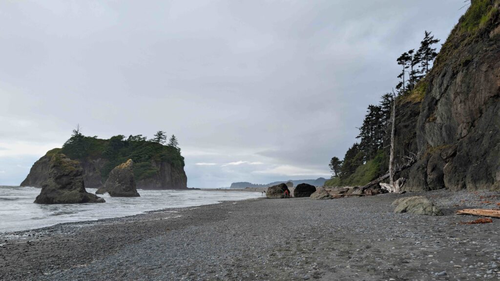 Tree-topped sea stack reflecting on wet sandy shore at sunset at backcountry beach to relax.