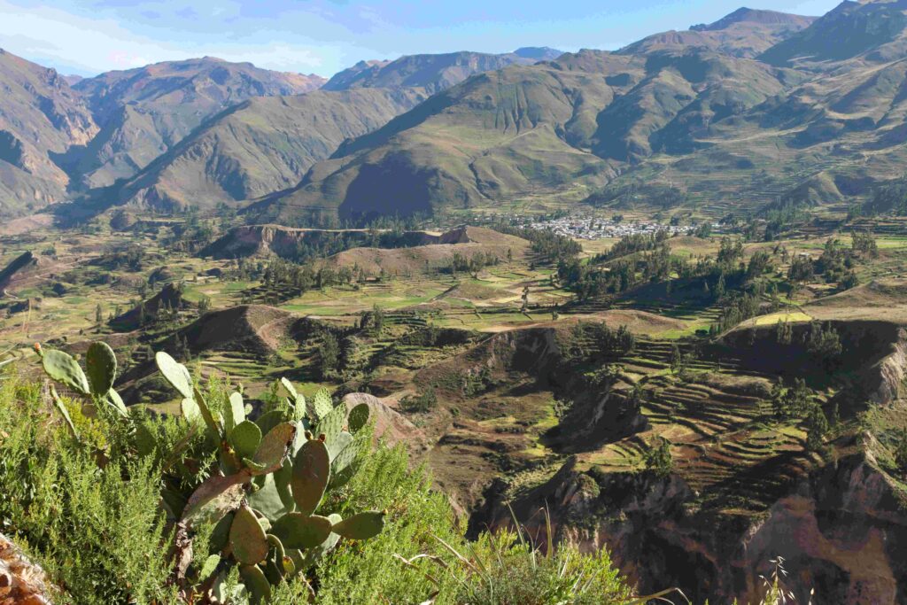 Scenic view of deep Colca Canyon in Peru and ancient agricultural terraces.