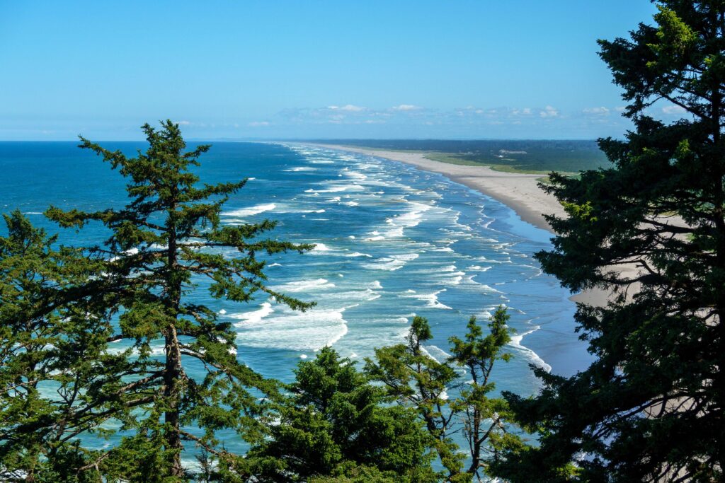 Wide sandy beach framed by evergreen trees along oregon coastal campsites.