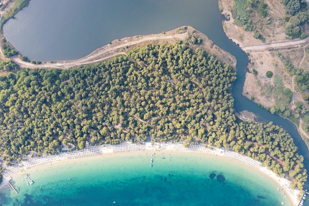 Aerial top-down view of pine forest bordering a sandy shore on Greece beaches.