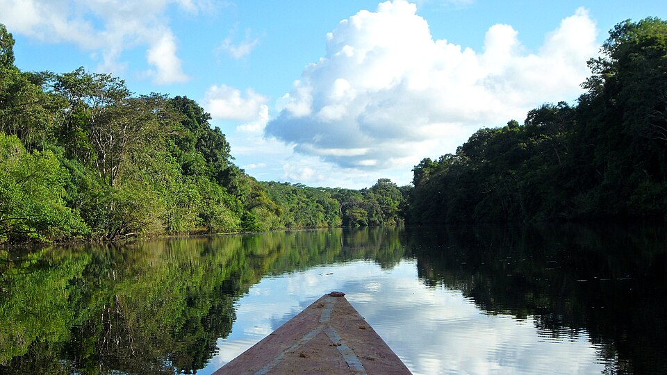 Wooden boat navigating serene Amazon river tributary surrounded by dense jungle.