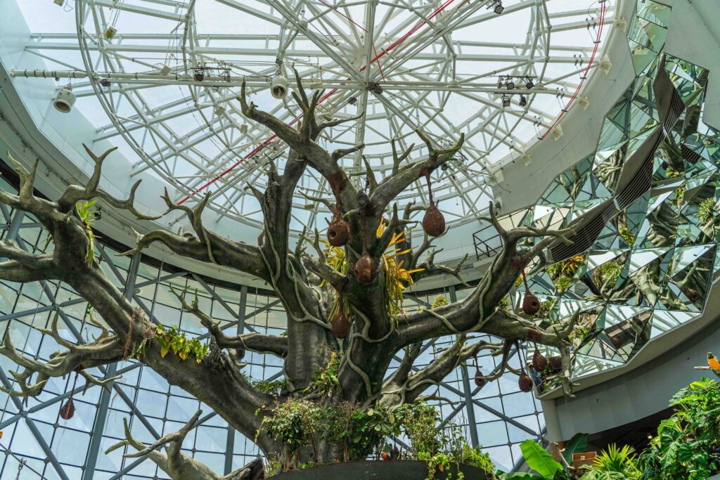 Massive artificial tree inside four-story tropical biodome, unique stop for Dubai sightseeings.